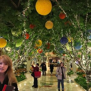 Meet your Posher, Saula